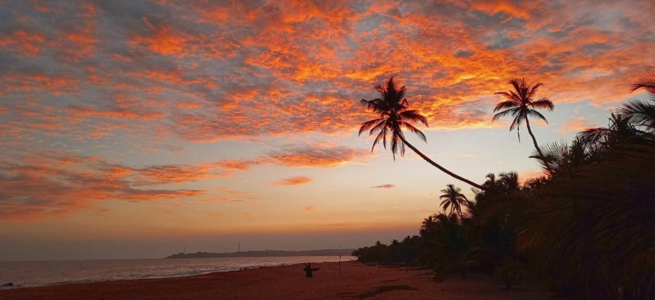 Eco Cabanas Marakolliya Tangalle Exterior photo