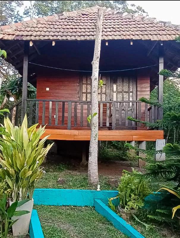 Eco Cabanas Marakolliya Tangalle Room photo