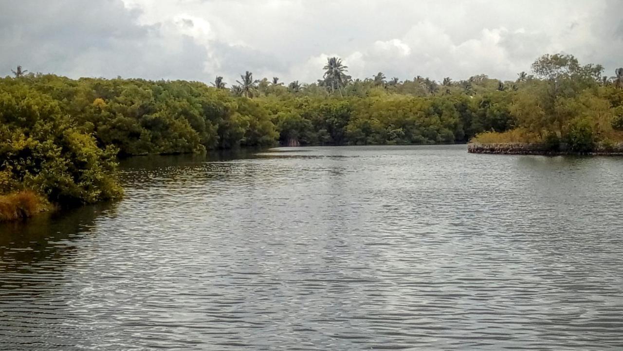 Eco Cabanas Marakolliya Tangalle Exterior photo